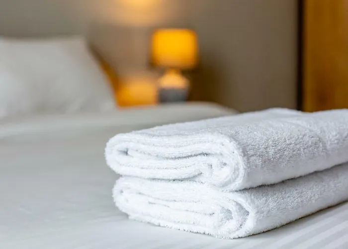 Alfa Chornovola דירה